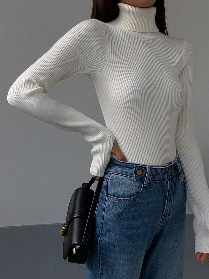 Women's Knitted Ribbed Turtleneck Jumper