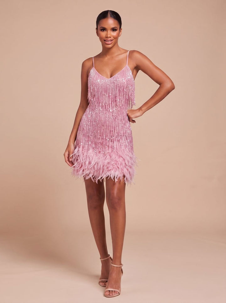 Women's Mini Dress – Fringe Christmas Party Feather Trim