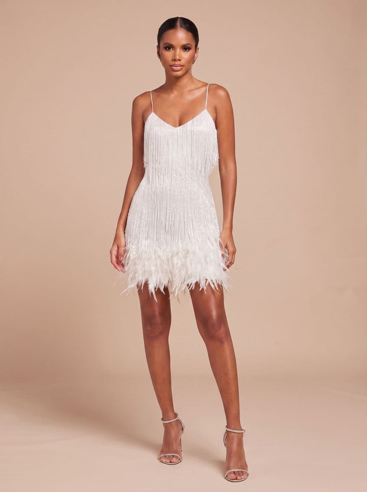 Women's Mini Dress – Fringe Christmas Party Feather Trim