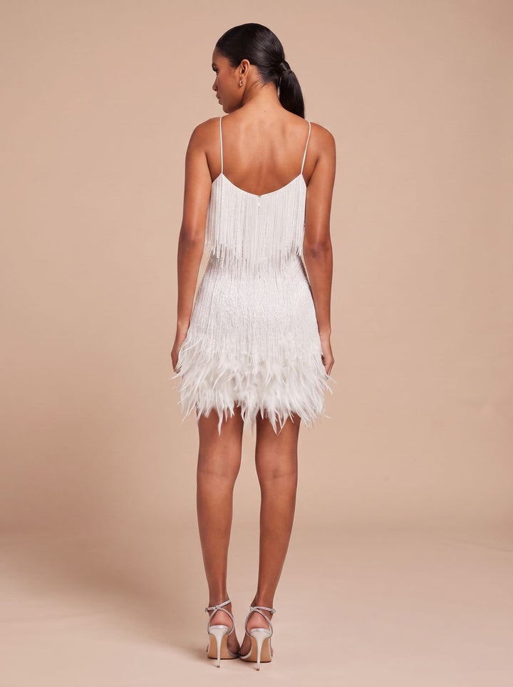 Women's Mini Dress – Fringe Christmas Party Feather Trim
