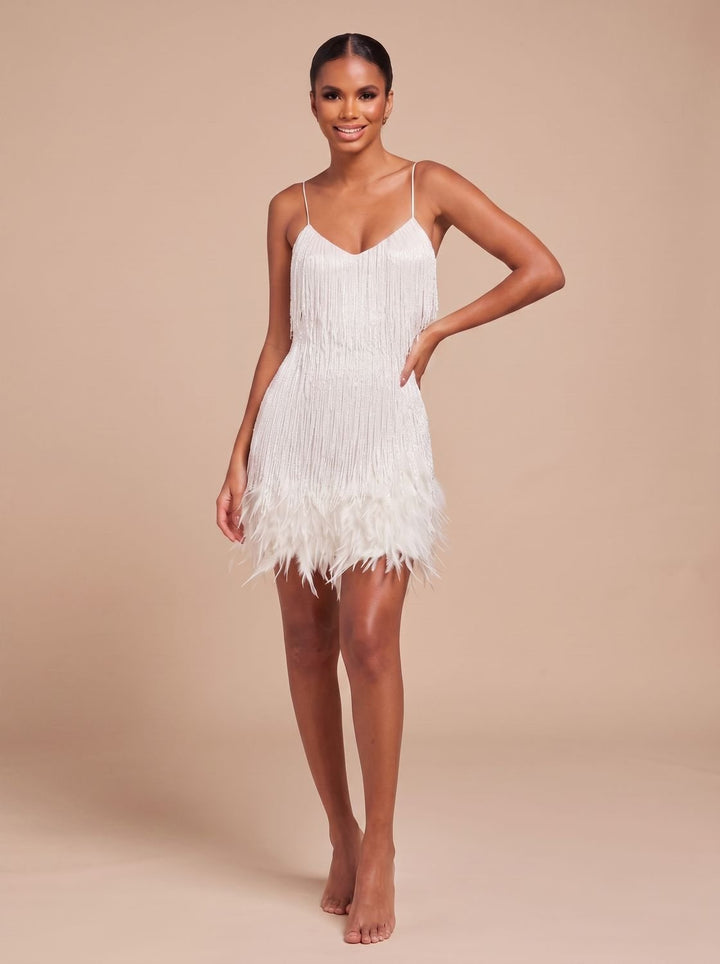 Women's Mini Dress – Fringe Christmas Party Feather Trim