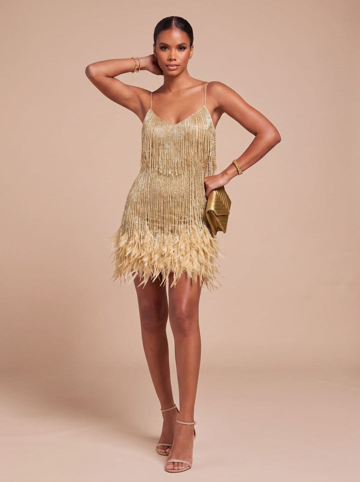 Women's Mini Dress – Fringe Christmas Party Feather Trim